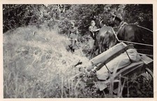 Point de restauration calèche