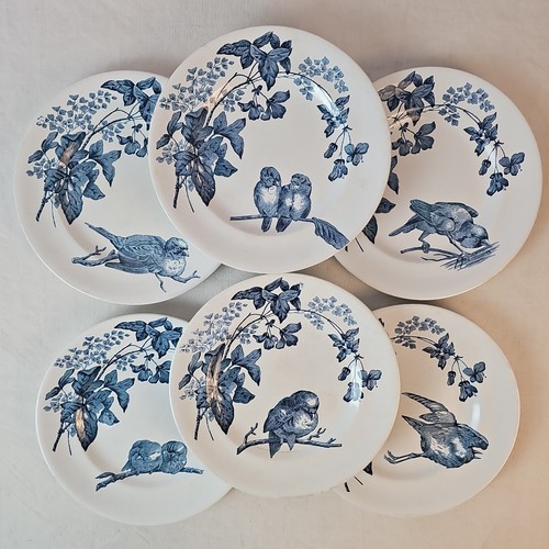 Assiettes plates oiseaux - plates,