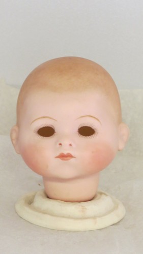Tête seule reproduction - tête,