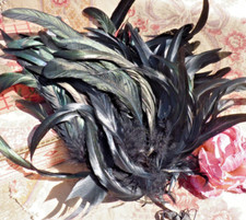 PLUME ANCIENNE, PLUMES de COQ FANTAISIES pour chapeau ancien vers 1910