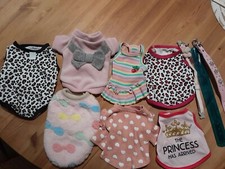 Lot 7 vêtements pull t-shirt petit chien chihuahua XS et S + 2 colliers neufs