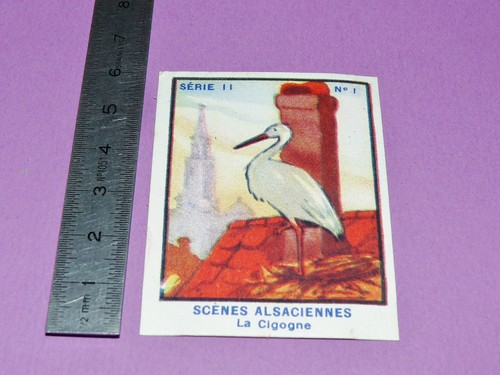 Rare chromo 1935 - chromo,