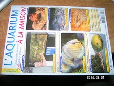 L'Aquarium à la maison n°47 Crustacé marins Discus Corydoras Reptiles TANGANYIKA