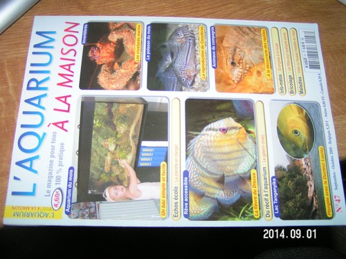 Aquarium maison n 47 - à,