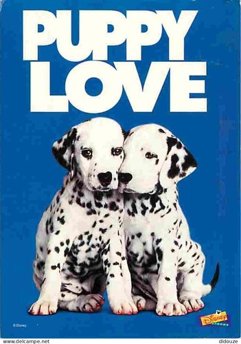 Carte postale animaux - postale,