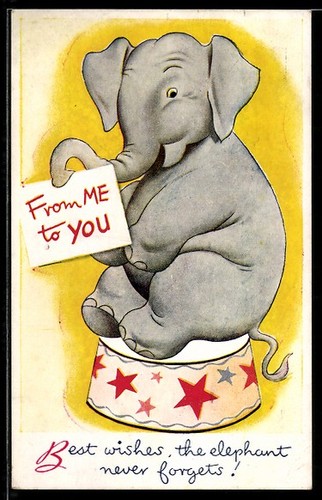 Carte postale éléphant - , sur