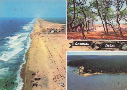 Lacanau ocean - lacanau,