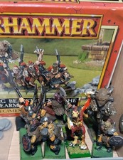 Dog Of War Warhammer Hommes Ours De Beorg Mercenaires Régiment De Renom