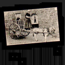 cpa le départ pour la foire attelage ane la vie au champs