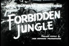 8Mm Bw Film | Jungle Interdite