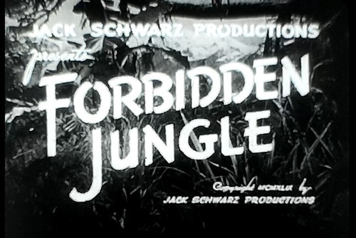 8mm film jungle interdite - 8mm, |