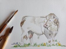 Aquarelle Taureau Charolais