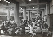 COGNAC - Etablissement