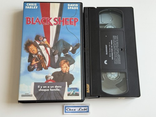 Black sheep chris - sheep, (chris