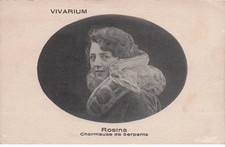 SPECTACLE CIRQUE  VIVARIUM  Rosina  ( charmeuse de serpents )