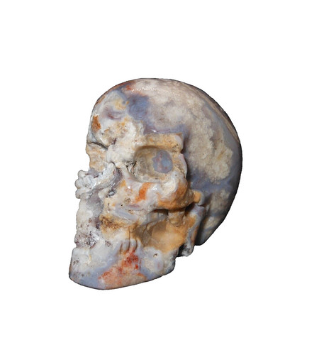 Cabinet curiosite memento - cabinet, curiosite/memento