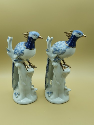 Paire oiseaux paradis - paire, d