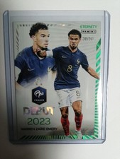 panini Eternity Bleus ZAÏRE
