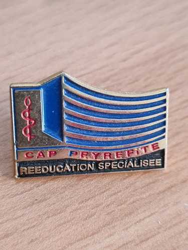 Pins pin vintage badge - pins,