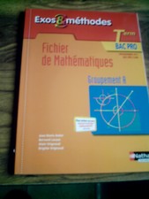 livre scolaire fichier mathématiques bac pro terminale groupement A  2011