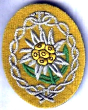 WWII Allemand ( Repo ) Gebirgsjäger Deutsches Afrikakorps Dak: Edelweiss Afrika