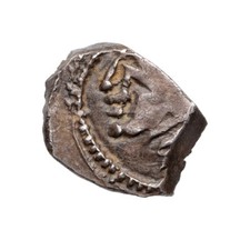 Rutènes - Drachme - Sanglier