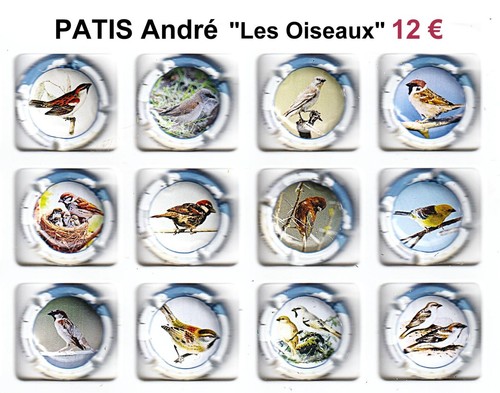 Capsules champagne patis - capsules,