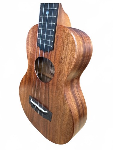 Koaloha concert ukulele - koaloha,