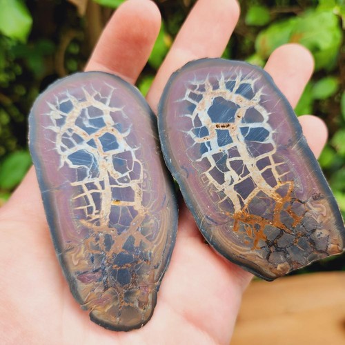 Septaria nodule poli maroc - nodule,