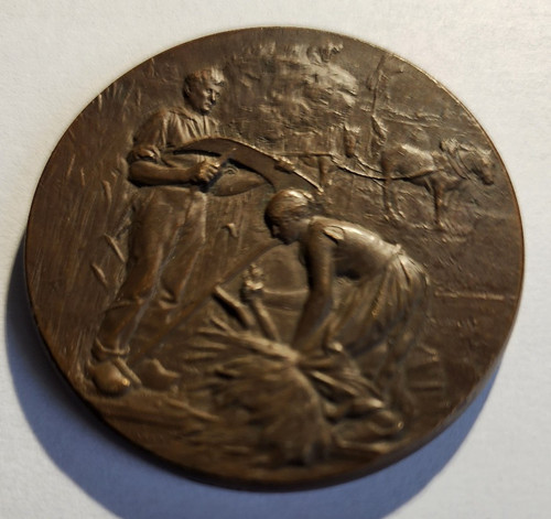 Médaille bronze concours - médaille, en