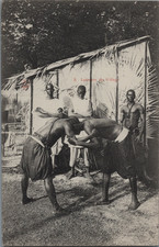 Zoo humain, Exposition