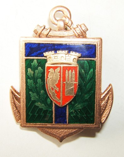 Insigne ecole militaire annexe - insigne,