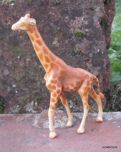Clairet animaux sauvage zoo - clairet,