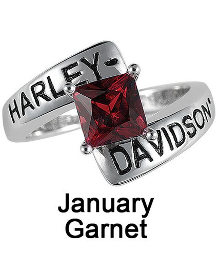 Harley davidson january - harley-davidson®,