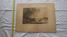 1880.eau forte Chevreuil en bord de riviere.AUFRAY ROC'BIHAN