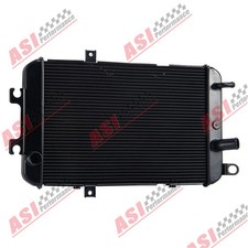 Aluminum Radiateur Pour
