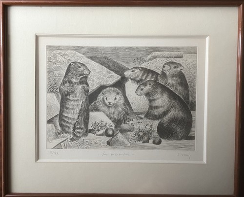 Les marmottes simone - vrain,