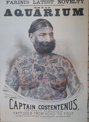 Cirque captain costentenus - -,