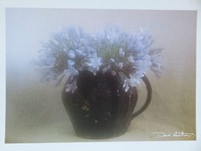 Carte Postale    DAVID