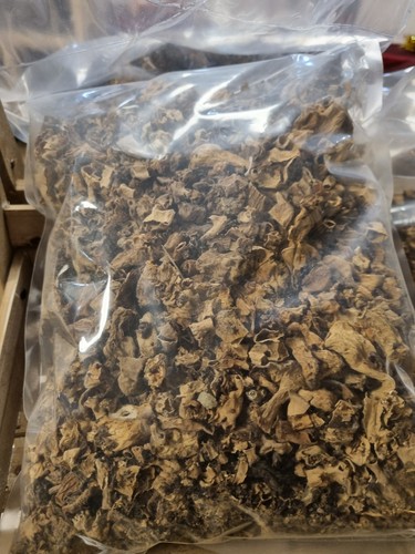 Morilles queus 2 - morilles, kg