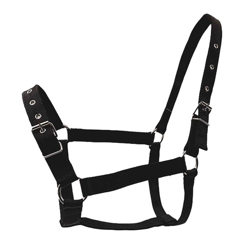 Licol cheval nylon ajustable - licol,