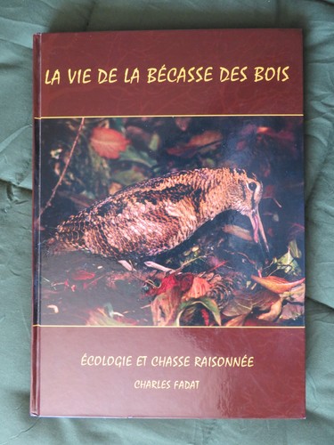 Vie becasse bois - la,