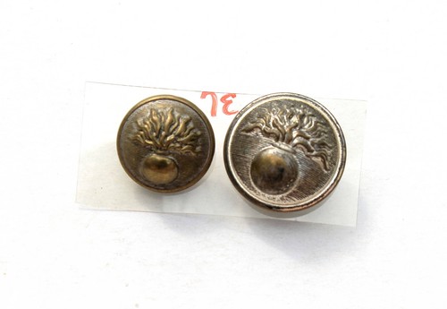Bouton uniforme militaire - bouton,