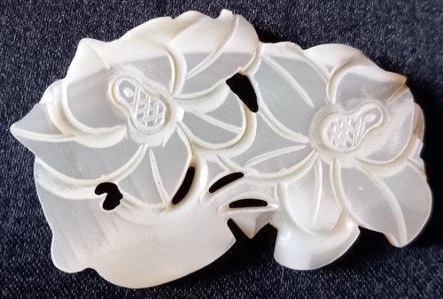 Joli plaque application - joli,