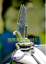 Mascotte auto -  sur automobile Voisin  -  A3 plastifié