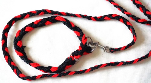 Laisse collier en nylon - en,