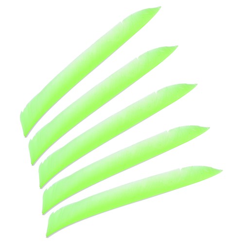Flèches pour vanes plumes - 50, vanes,