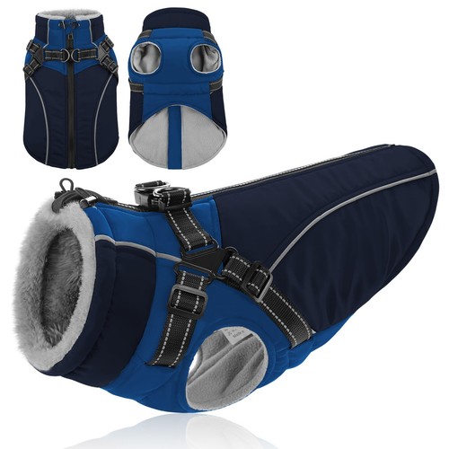 Veste pour petit - veste, chien