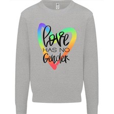 Lgbt Amour A Non Genre Gay Pride Jour Hommes Pull