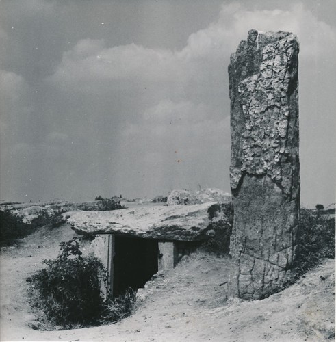 Locmariaquer 1950 les - c.,
